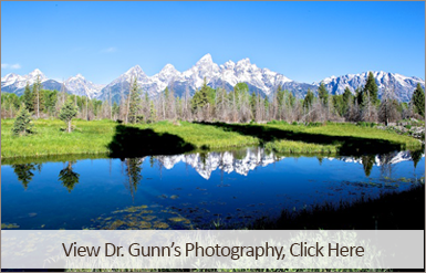 Dr. Gunn photography